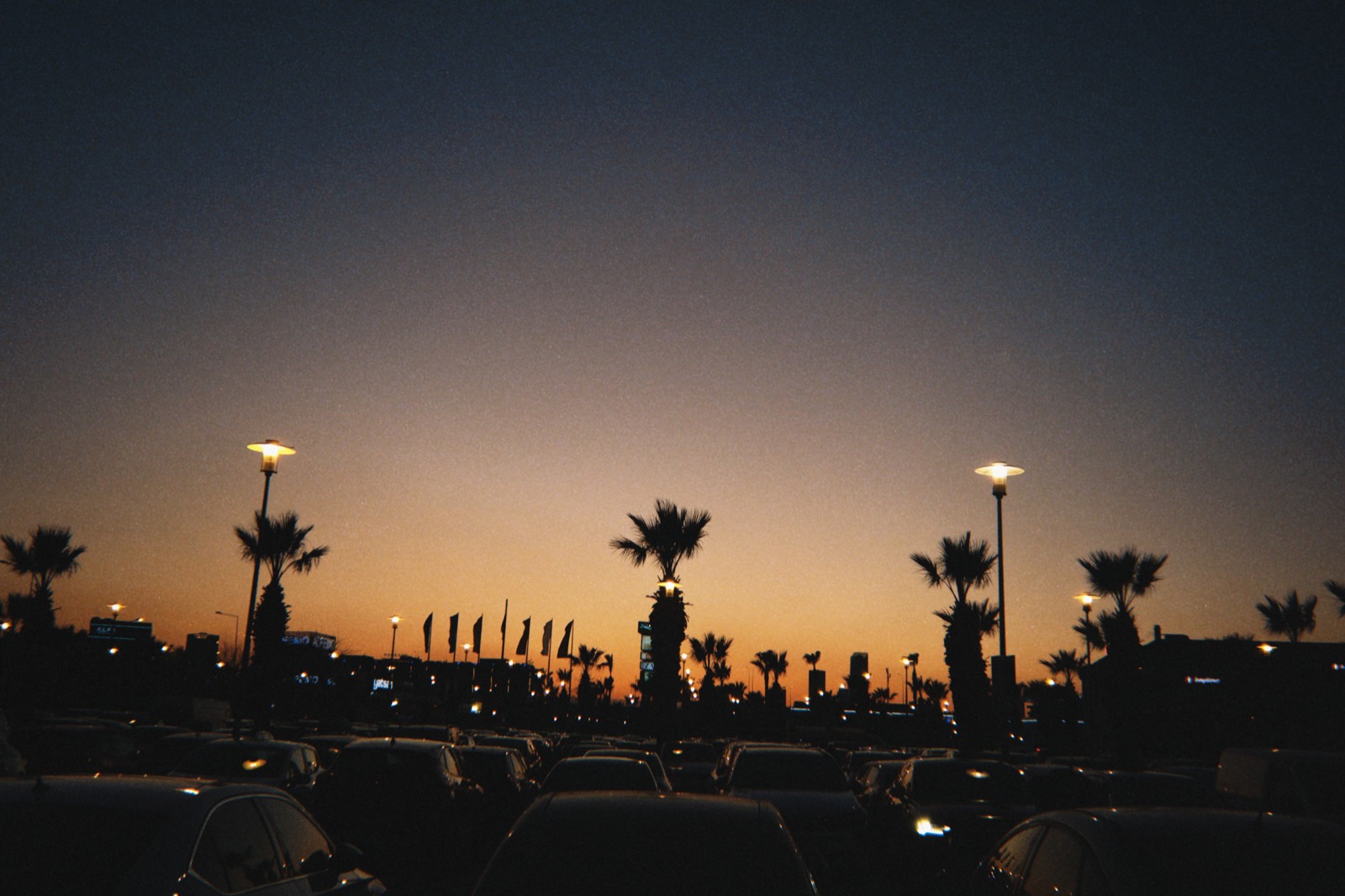 Quicksnap series photograph, 2025-02-12