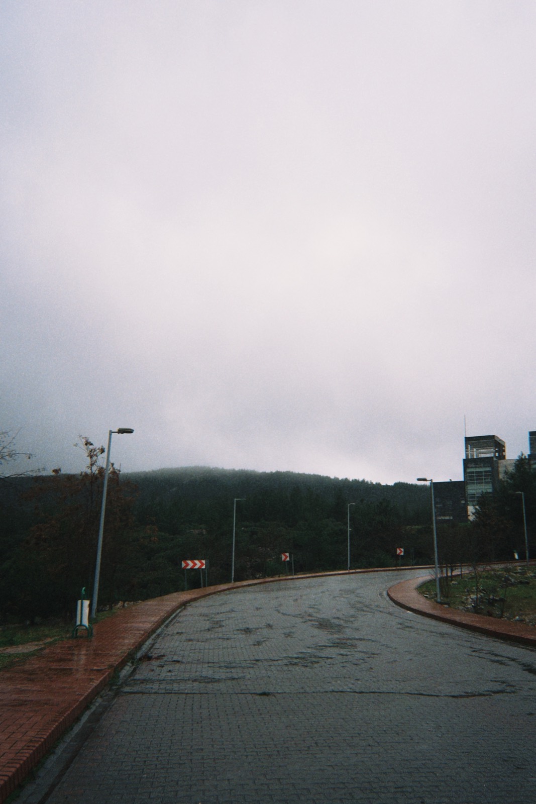 Quicksnap series photograph, 2026-01-08